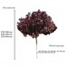Klon pospolity 'Royal Red' DUŻE SADZONKI wys. 250-300 cm, obwód pnia 10-12 cm (Acer platanoides)